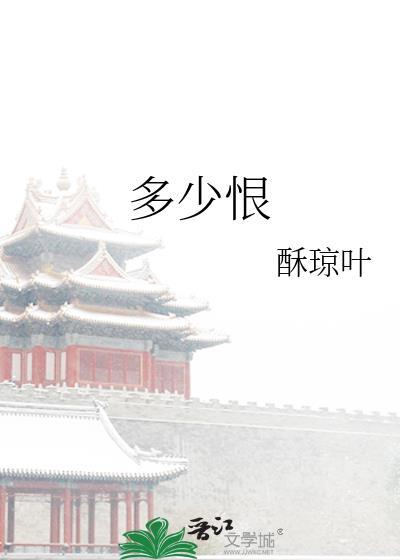 多少恨