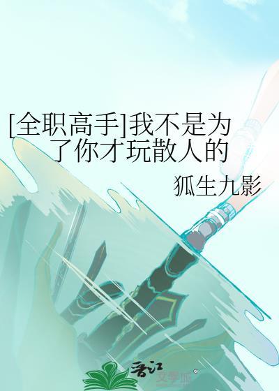 [全职高手]我不是为了你才玩散人的
