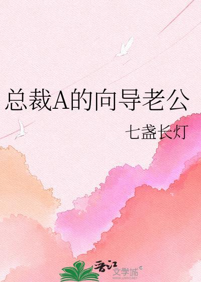 总裁A的向导老公