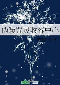 伪装咒灵收容中心
