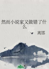 然而小说家又做错了什么