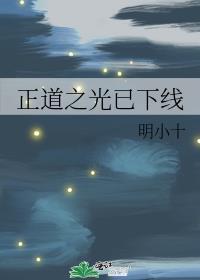正道之光已下线