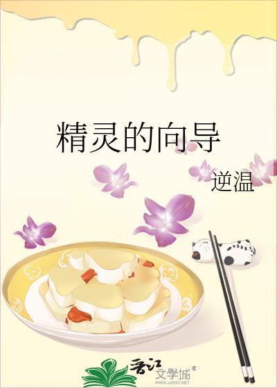 精灵的向导