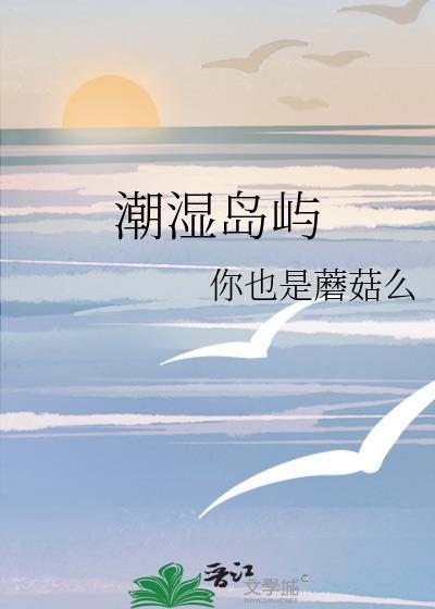 潮湿岛屿