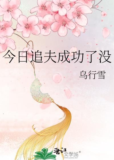 今日追夫成功了没