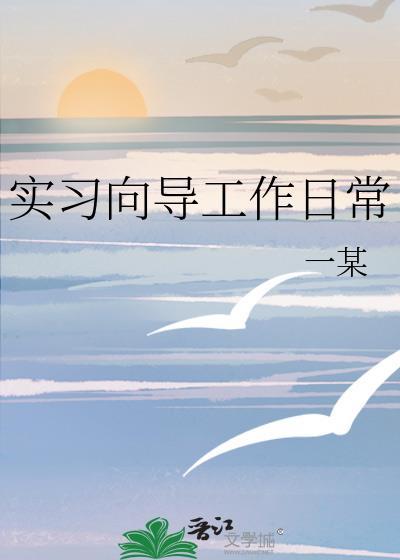实习向导工作日常