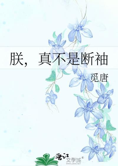 朕，真不是断袖