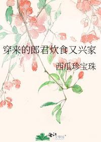 穿来的郎君炊食又兴家