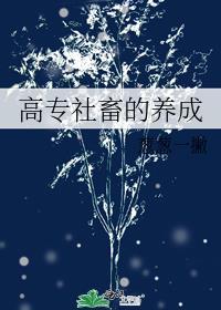 高专社畜的养成