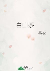 白山茶
